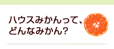 ハウスみかんって、どんなみかん？