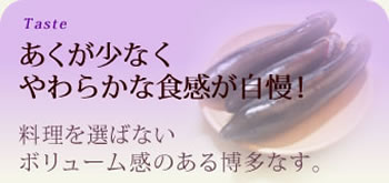 あくが少なく、やわらかな食感が自慢！料理を選ばないボリュームのある博多なす。