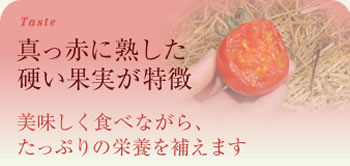 真っ赤に熟した硬い果実が特徴。美味しく食べながら、たっぷりの栄養を補えます。